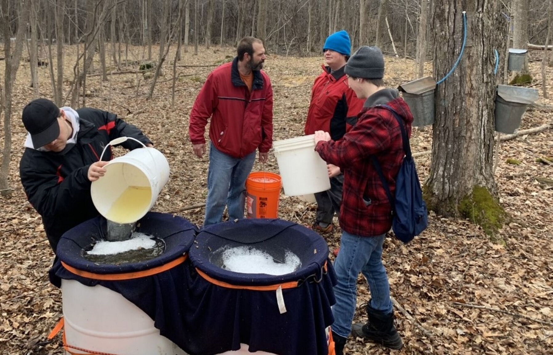 Sweet charity found in a town of Clayton sugar bush
